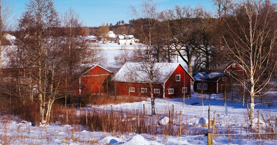 “Preparedness is Part of Our Mentality”: Growing Up in Sweden and Living in Belgium